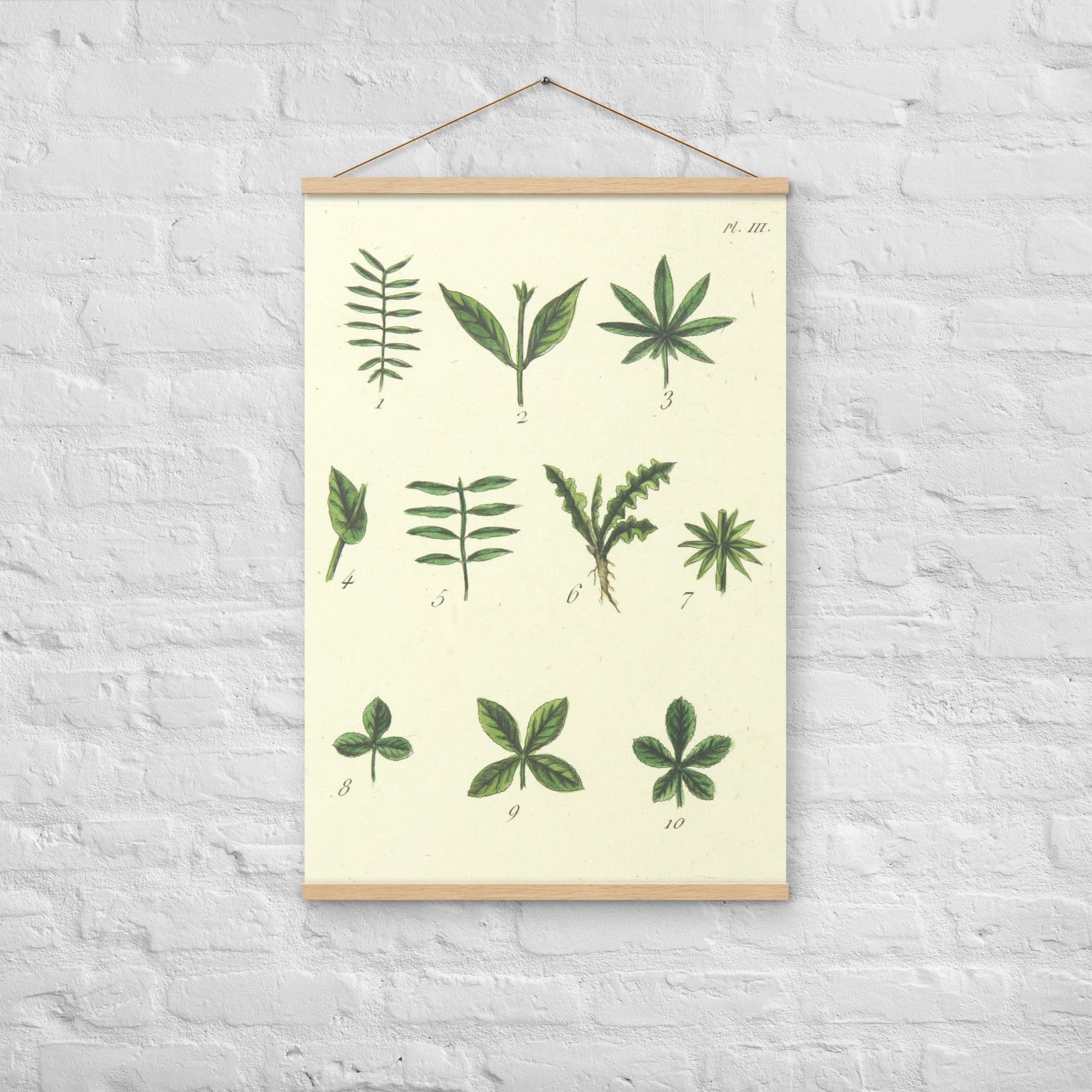 Green leafs - Poster with hanger - Sighthound Creatives