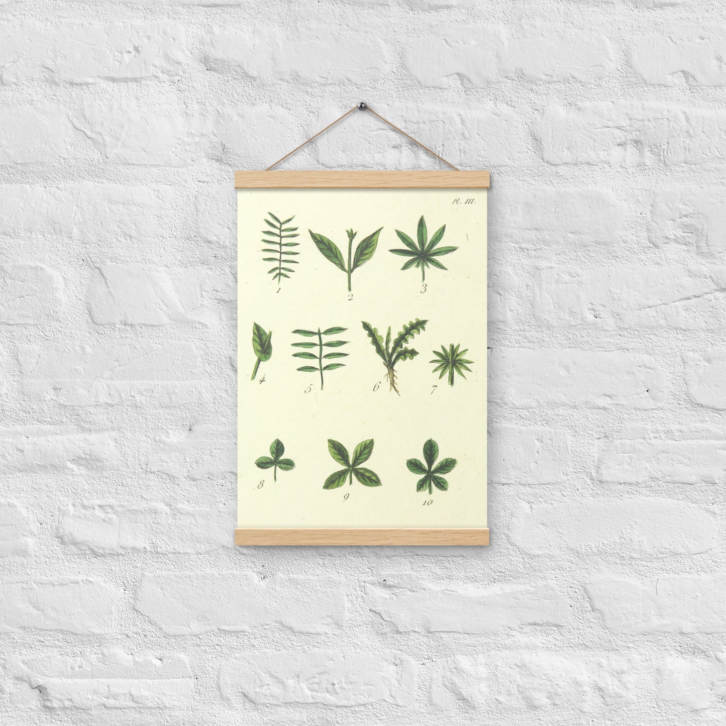 Green leafs - Poster with hanger - Sighthound Creatives