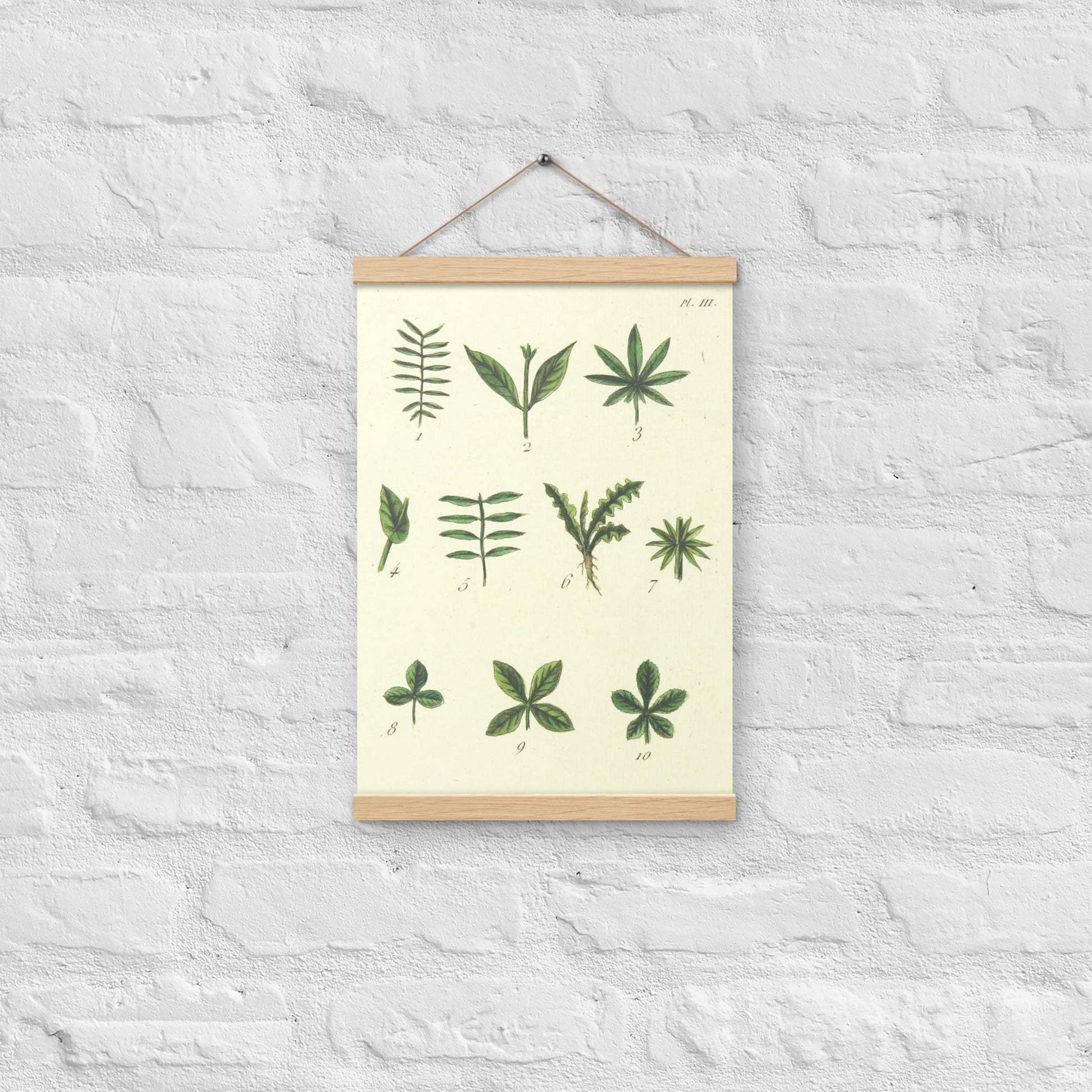 Green leafs - Poster with hanger - Sighthound Creatives