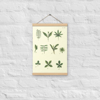 Green leafs - Poster with hanger - Sighthound Creatives