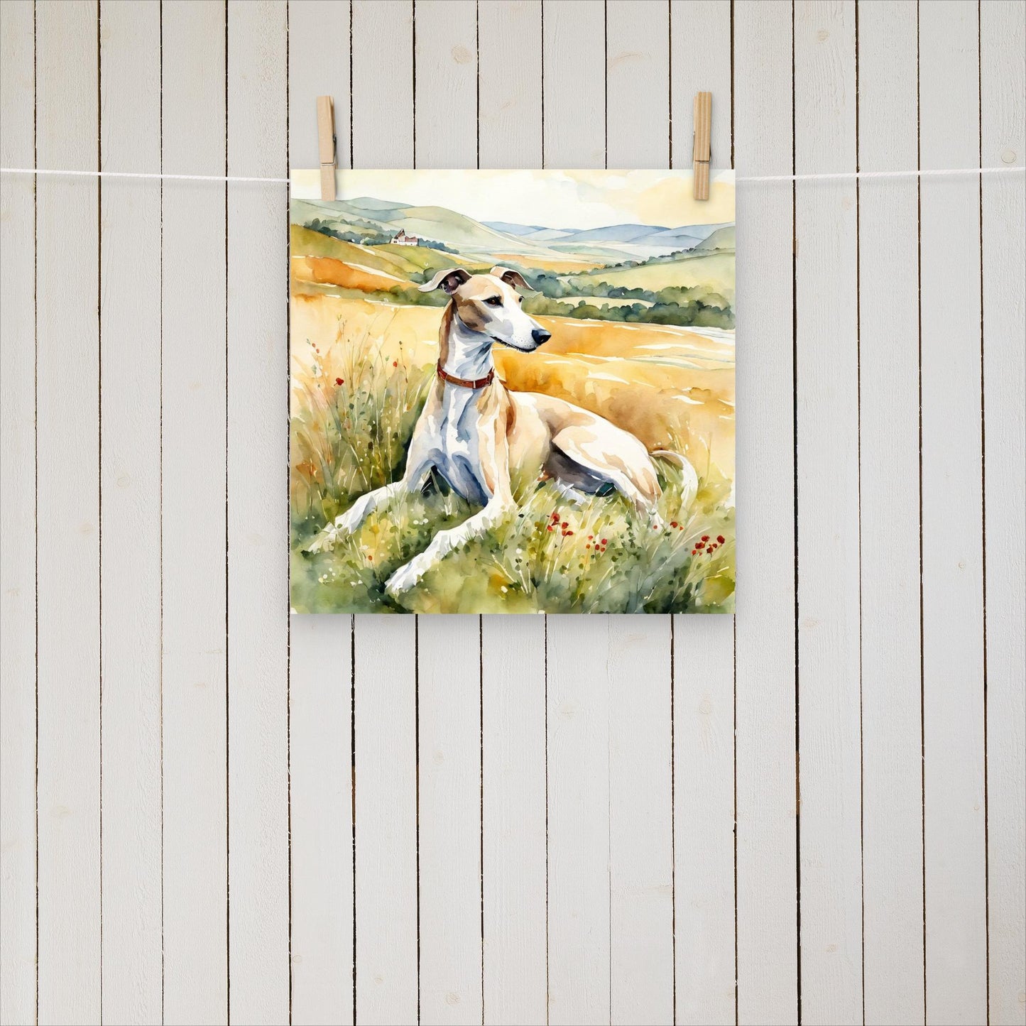 Greyhound laying in the field - Poster - Sighthound Creatives