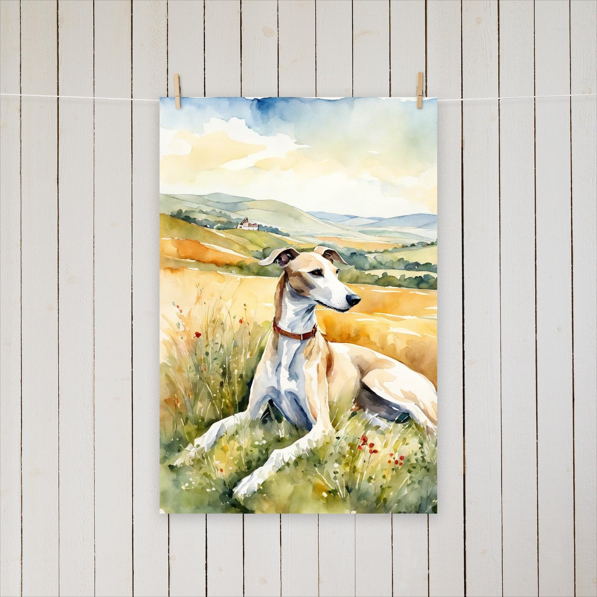 Greyhound laying in the field - Poster - Sighthound Creatives