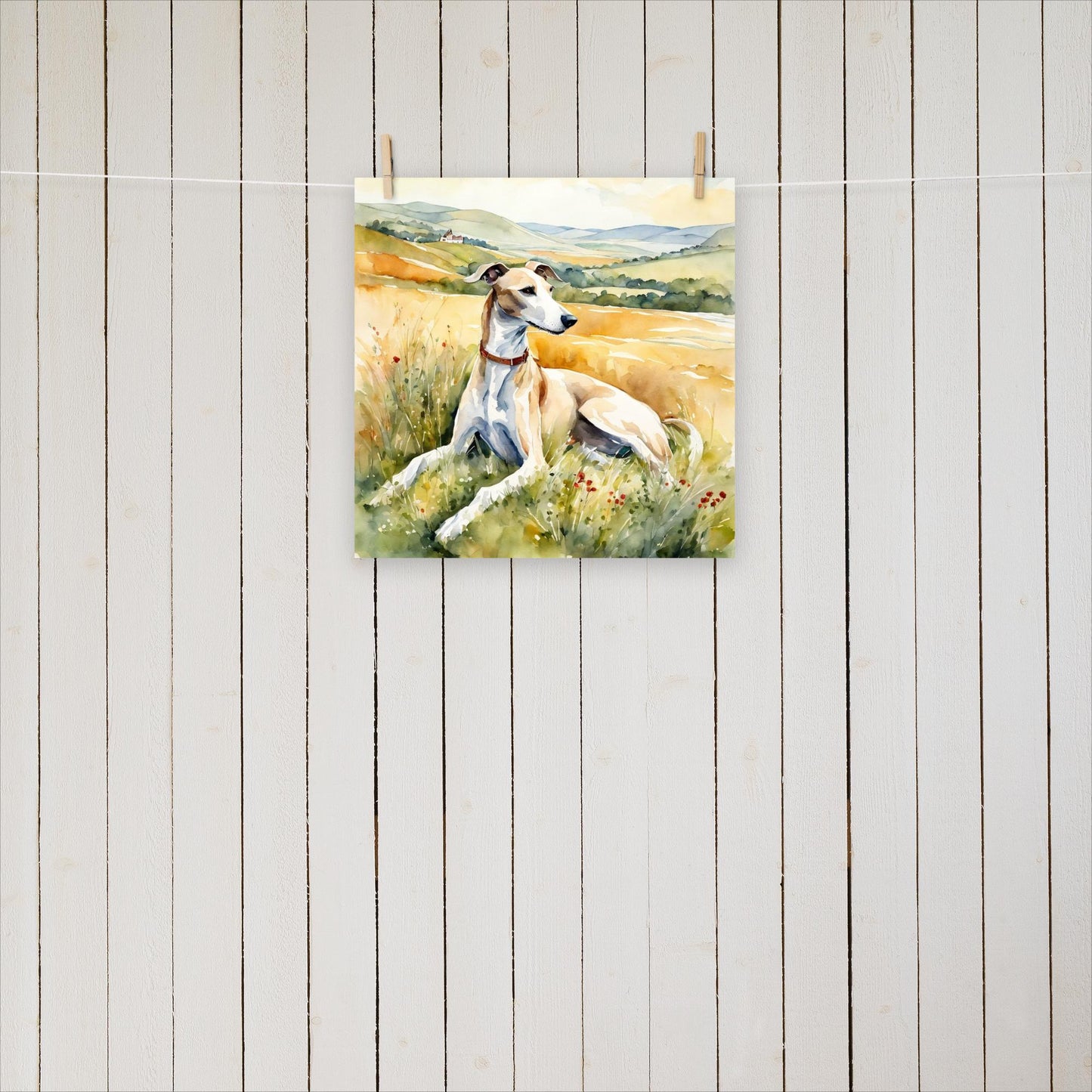 Greyhound laying in the field - Poster - Sighthound Creatives