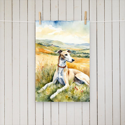 Greyhound laying in the field - Poster - Sighthound Creatives