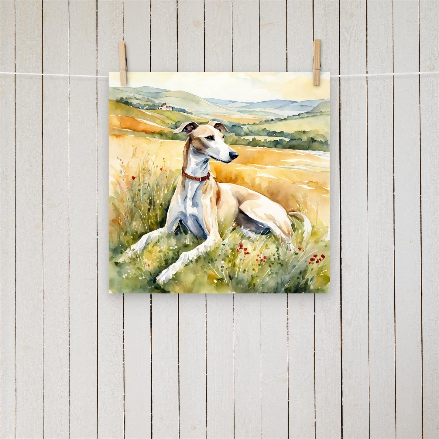 Greyhound laying in the field - Poster - Sighthound Creatives