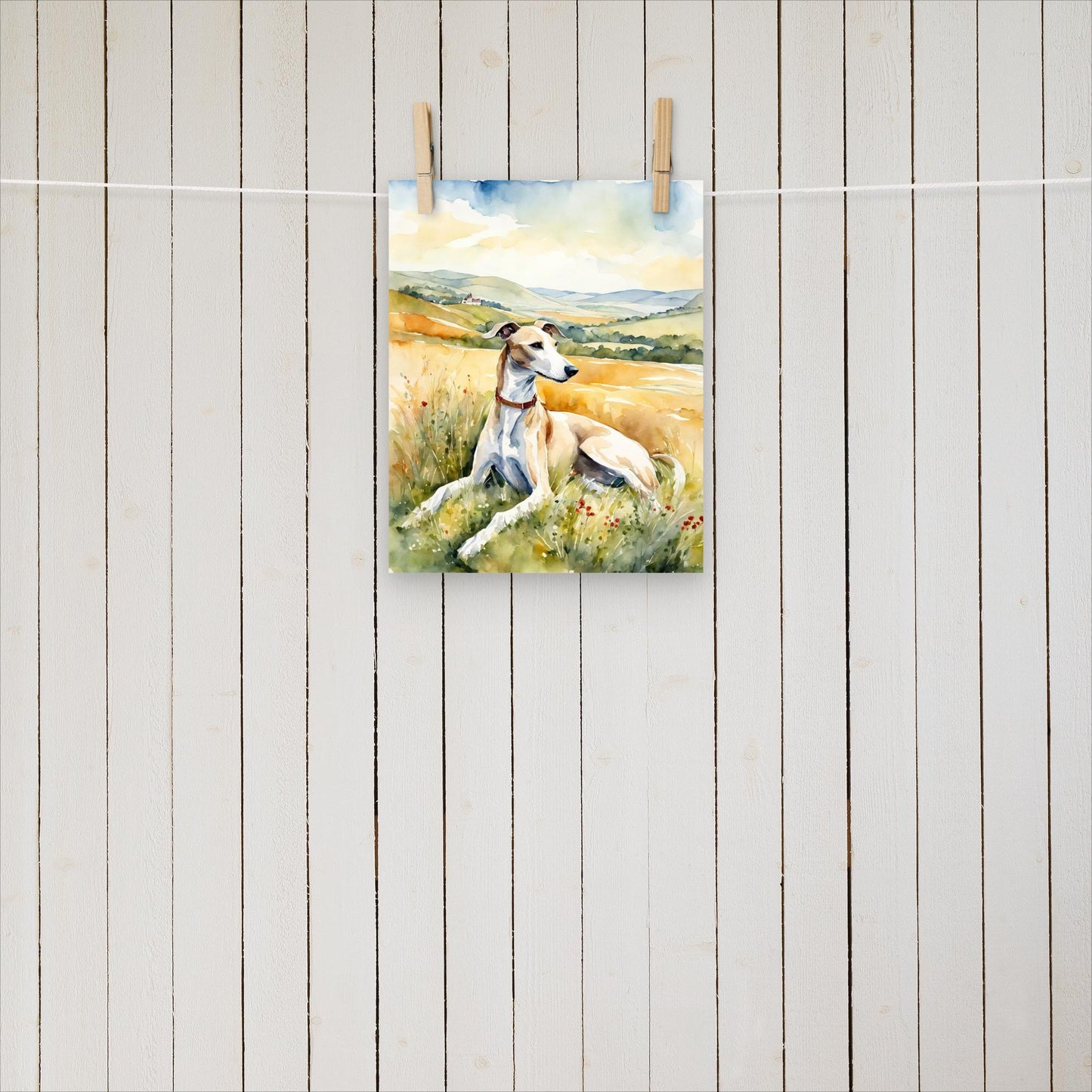 Greyhound laying in the field - Poster - Sighthound Creatives