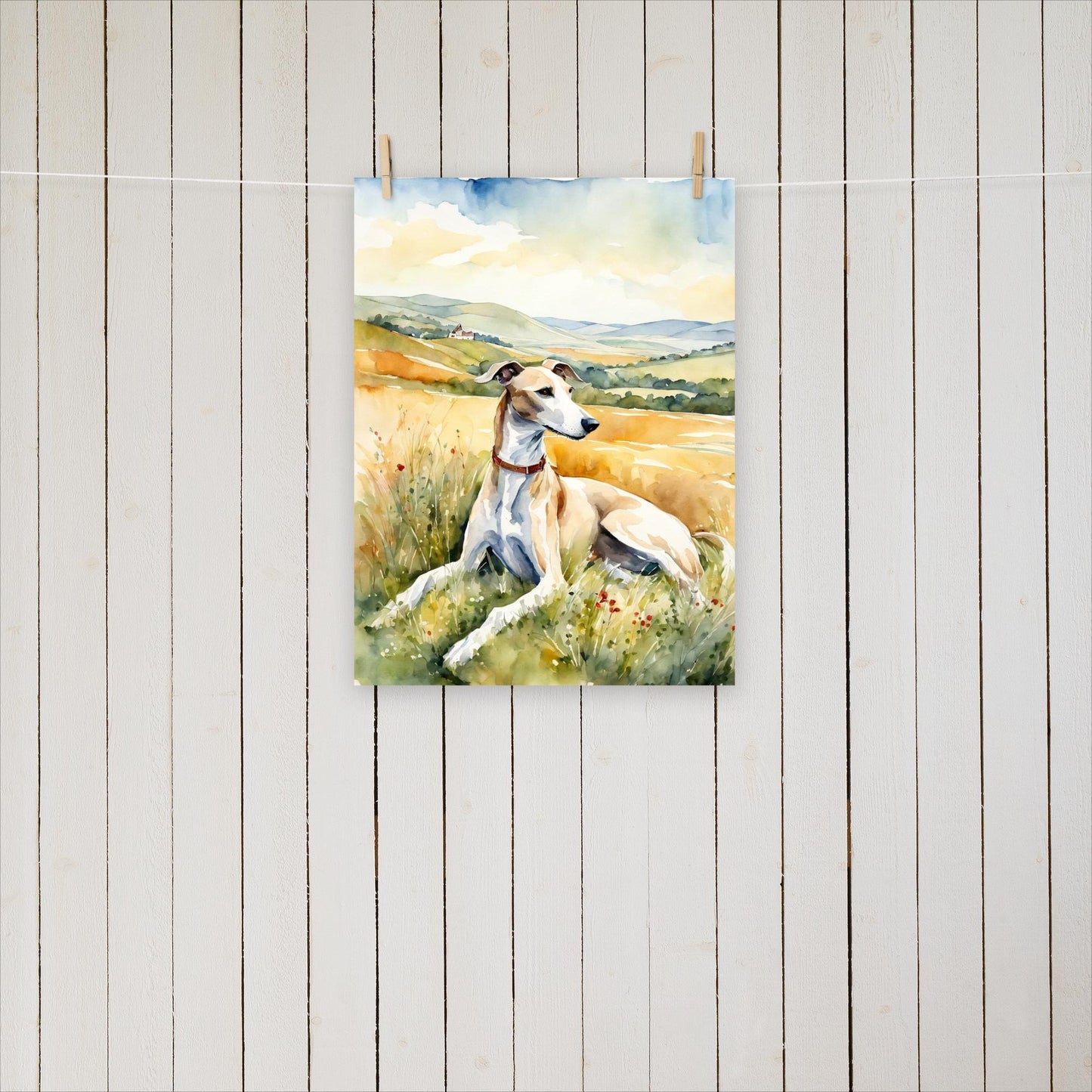 Greyhound laying in the field - Poster - Sighthound Creatives