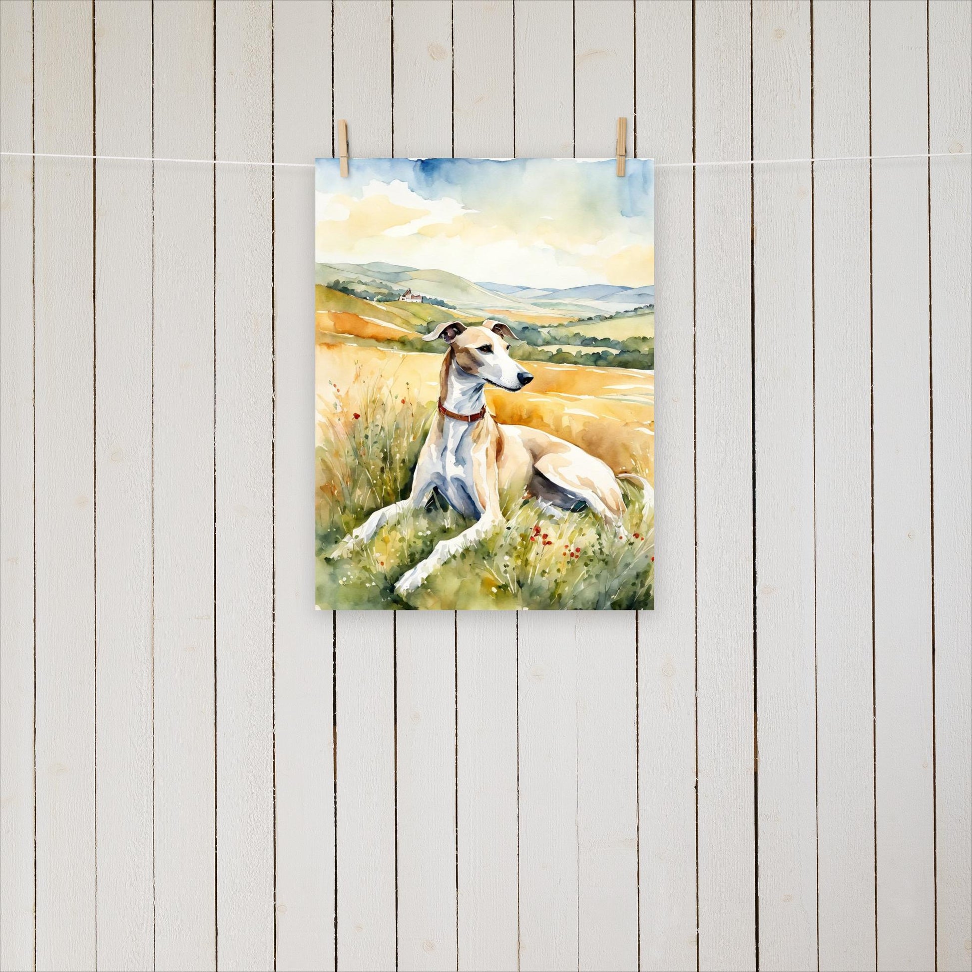 Greyhound laying in the field - Poster - Sighthound Creatives