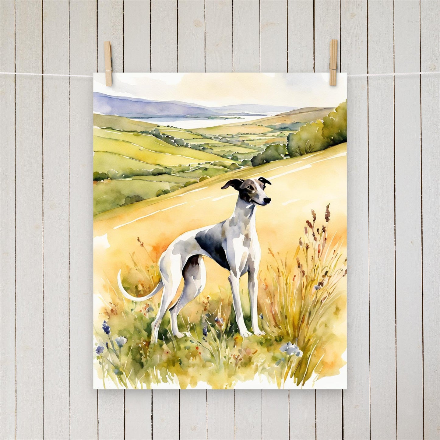 Greyhound looking up the hills - Poster - Sighthound Creatives