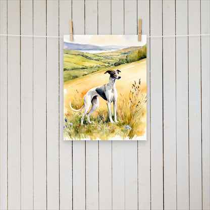 Greyhound looking up the hills - Poster - Sighthound Creatives