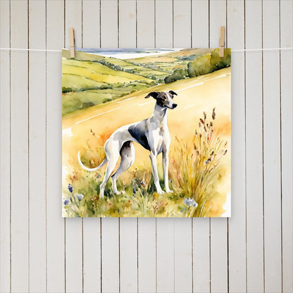 Greyhound looking up the hills - Poster - Sighthound Creatives