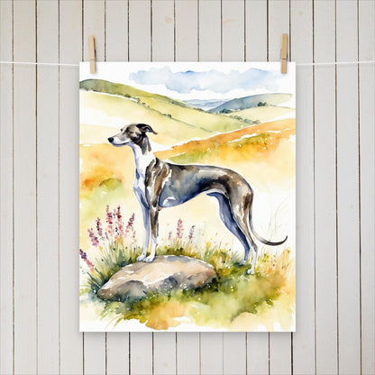 Greyhound standing on a rock looking out over the hills. - Poster - Sighthound Creatives