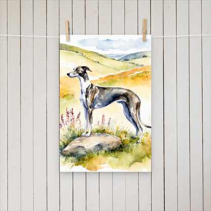 Greyhound standing on a rock looking out over the hills. - Poster - Sighthound Creatives