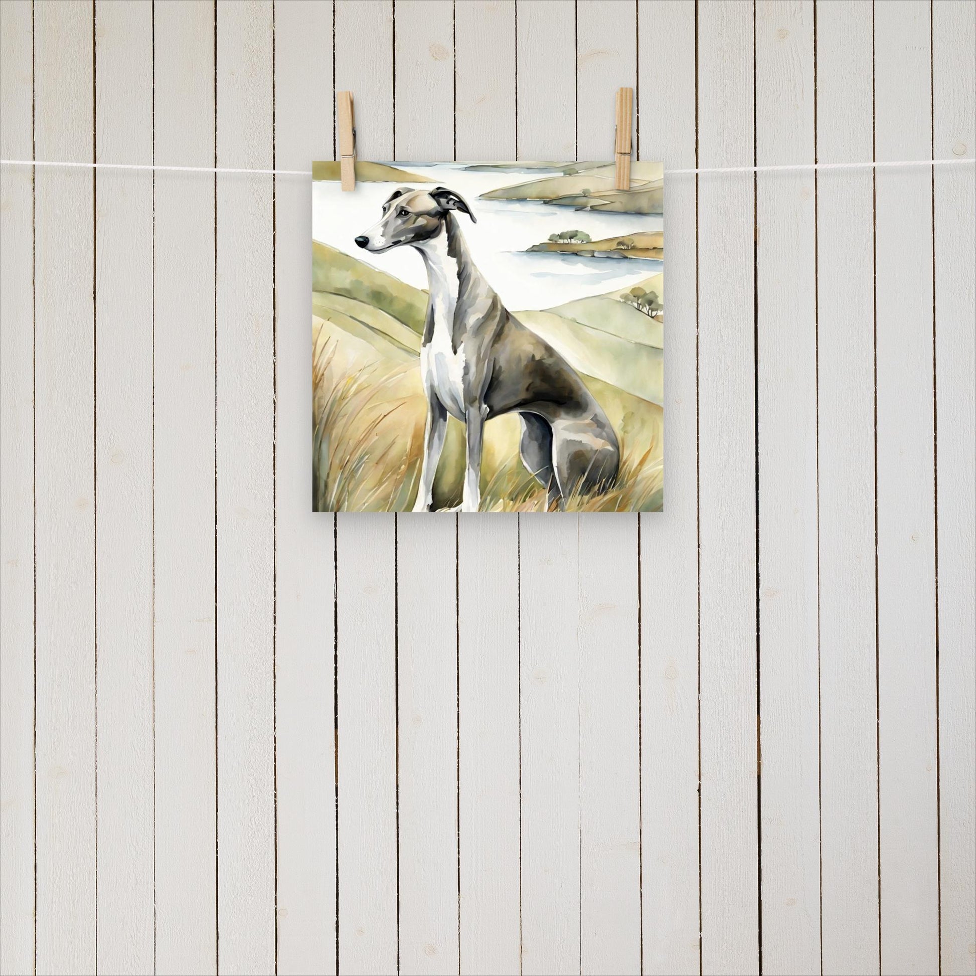 Greyhound with a side eye - Poster - Sighthound Creatives