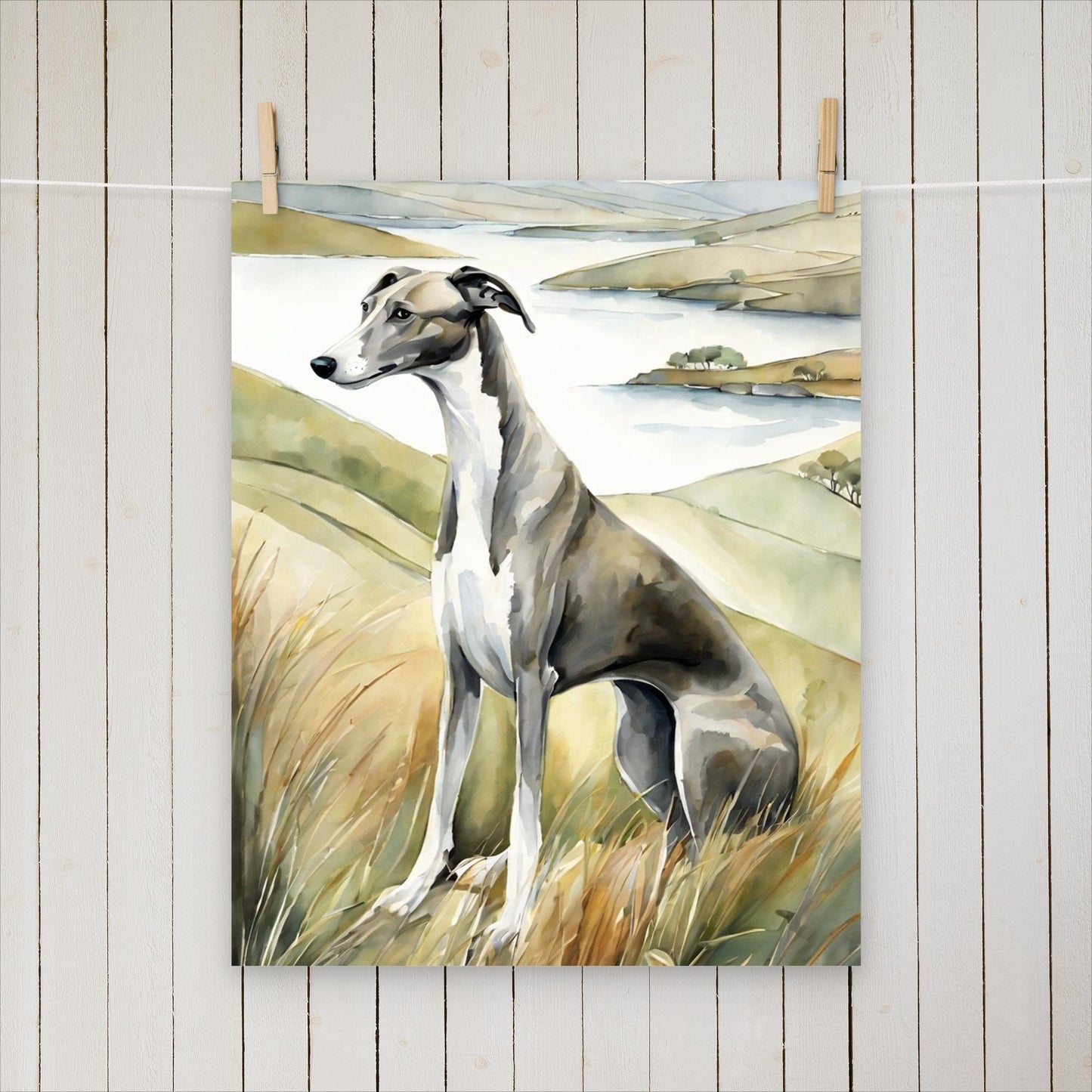 Greyhound with a side eye - Poster - Sighthound Creatives