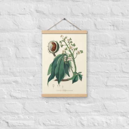 Horse Chestnut - Poster with hanger - Sighthound Creatives