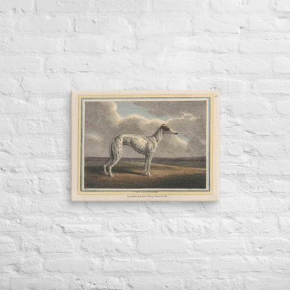 The Greyhound (1812) - Canvas - Sighthound Creatives