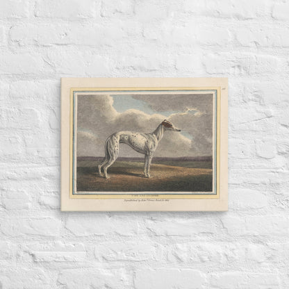 The Greyhound (1812) - Canvas - Sighthound Creatives