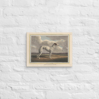 The Greyhound (1812) - Canvas - Sighthound Creatives