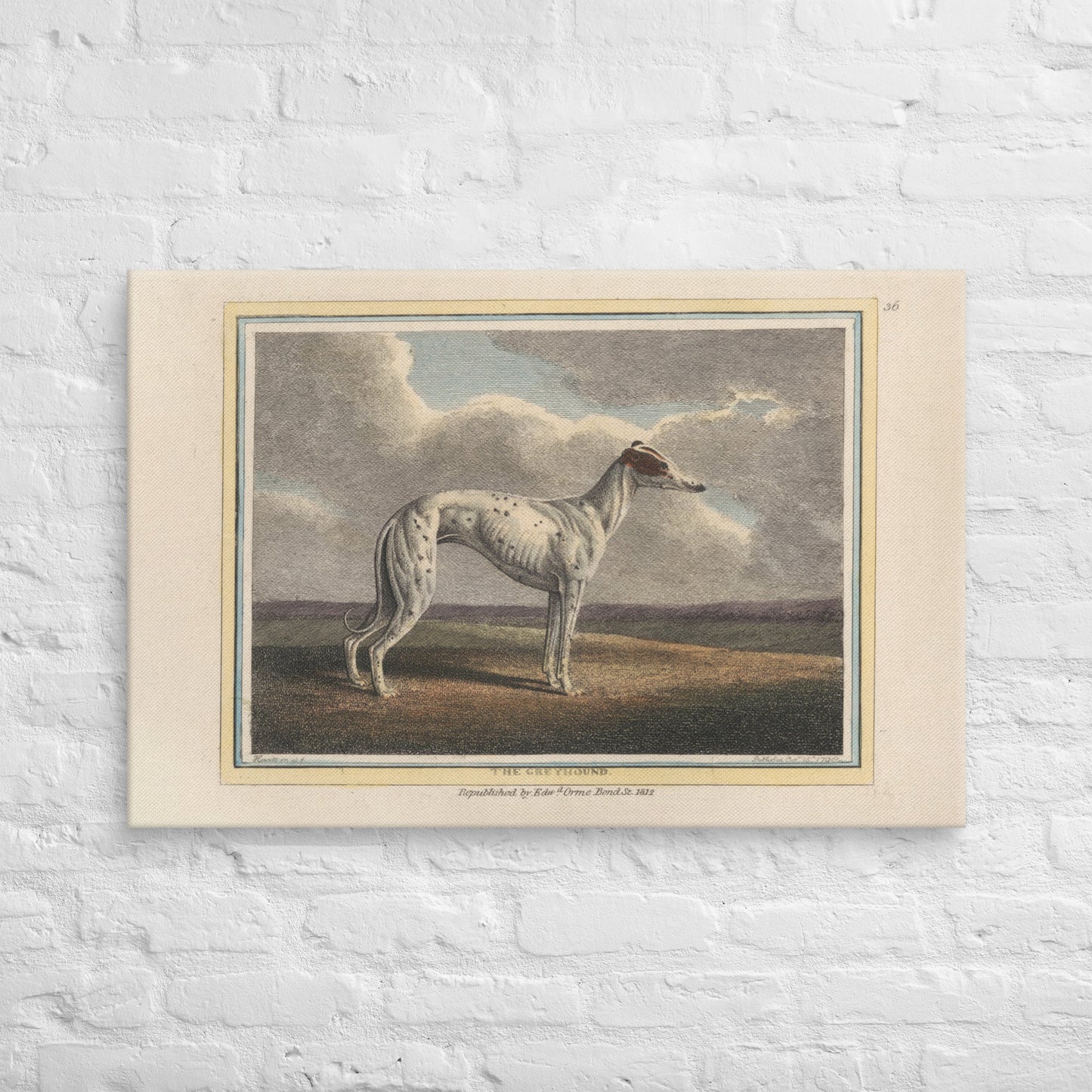 The Greyhound (1812) - Canvas - Sighthound Creatives